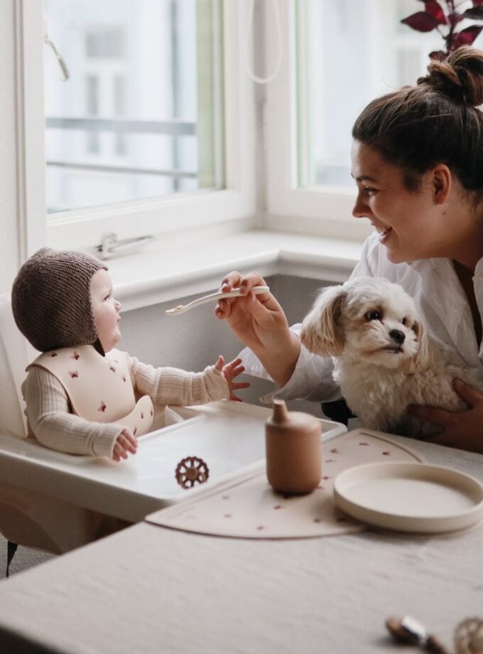 Mushie klasikinė silikoninė prilimpanti lėkštutė - Blush